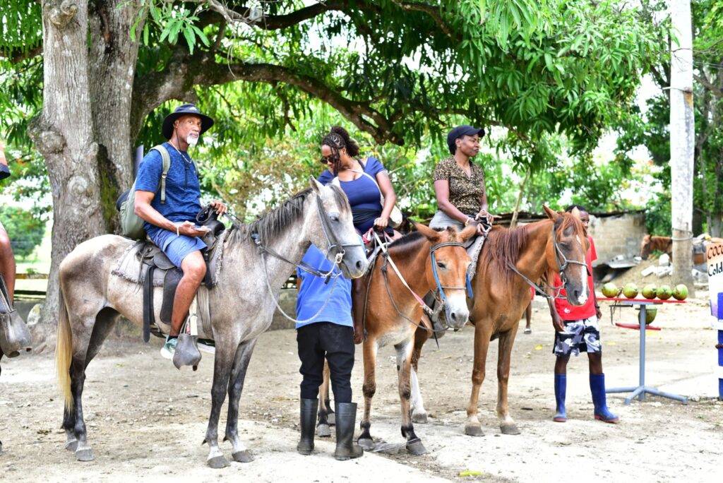 Safari Dominicano
